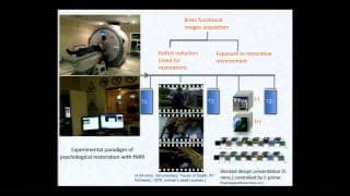 Joel Martinez-Soto: Neural Responses to Restorative Environments - An Eye Tracking and fMRI Study