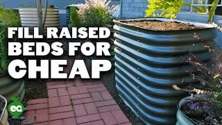 How to Fill a Raised Bed and Save 60%+ on Soil Costs